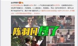 最新爆料见闻视频播放,见闻视频播放背后的惊人真相