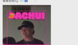 刘大锤今日爆料视频,揭秘今日热点事件内幕